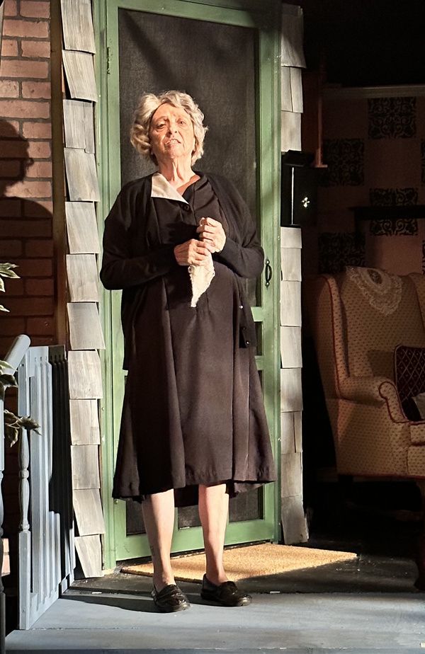 Photos: First Look At COME BACK, LITTLE SHEBA At Haines City Theatre  Image