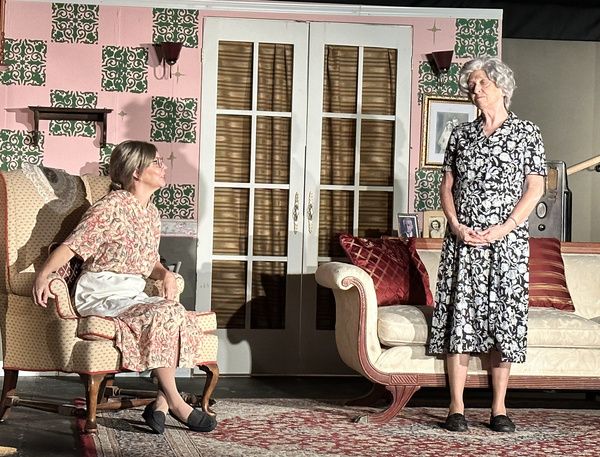 Photos: First Look At COME BACK, LITTLE SHEBA At Haines City Theatre  Image