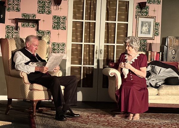 Photos: First Look At COME BACK, LITTLE SHEBA At Haines City Theatre  Image