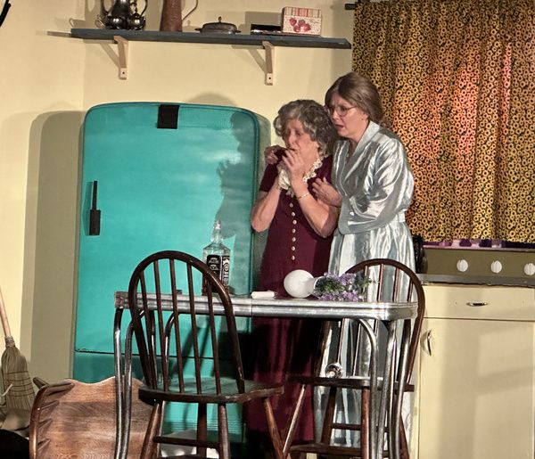 Photos: First Look At COME BACK, LITTLE SHEBA At Haines City Theatre  Image