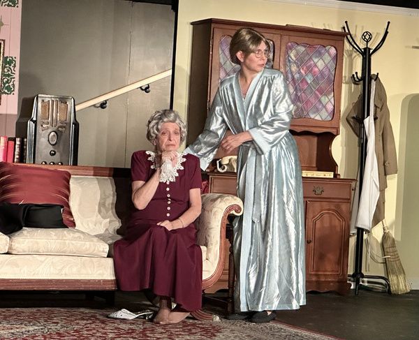 Photos: First Look At COME BACK, LITTLE SHEBA At Haines City Theatre  Image