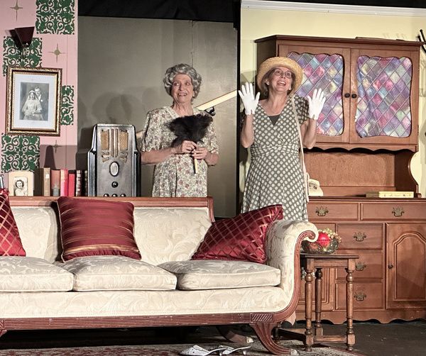 Photos: First Look At COME BACK, LITTLE SHEBA At Haines City Theatre  Image