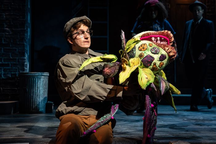 Photos: First Look at Paramount Theatre's LITTLE SHOP OF HORRORS — photo 18 of 19