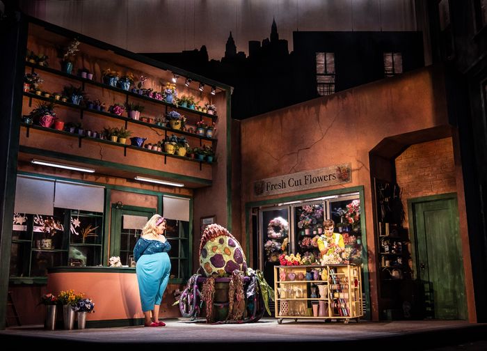 Photos: First Look at Paramount Theatre's LITTLE SHOP OF HORRORS — photo 14 of 19