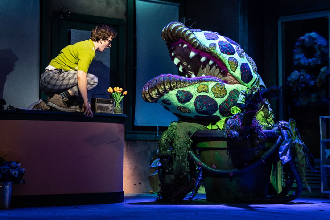 Photos: First Look at Paramount Theatre's LITTLE SHOP OF HORRORS  Image