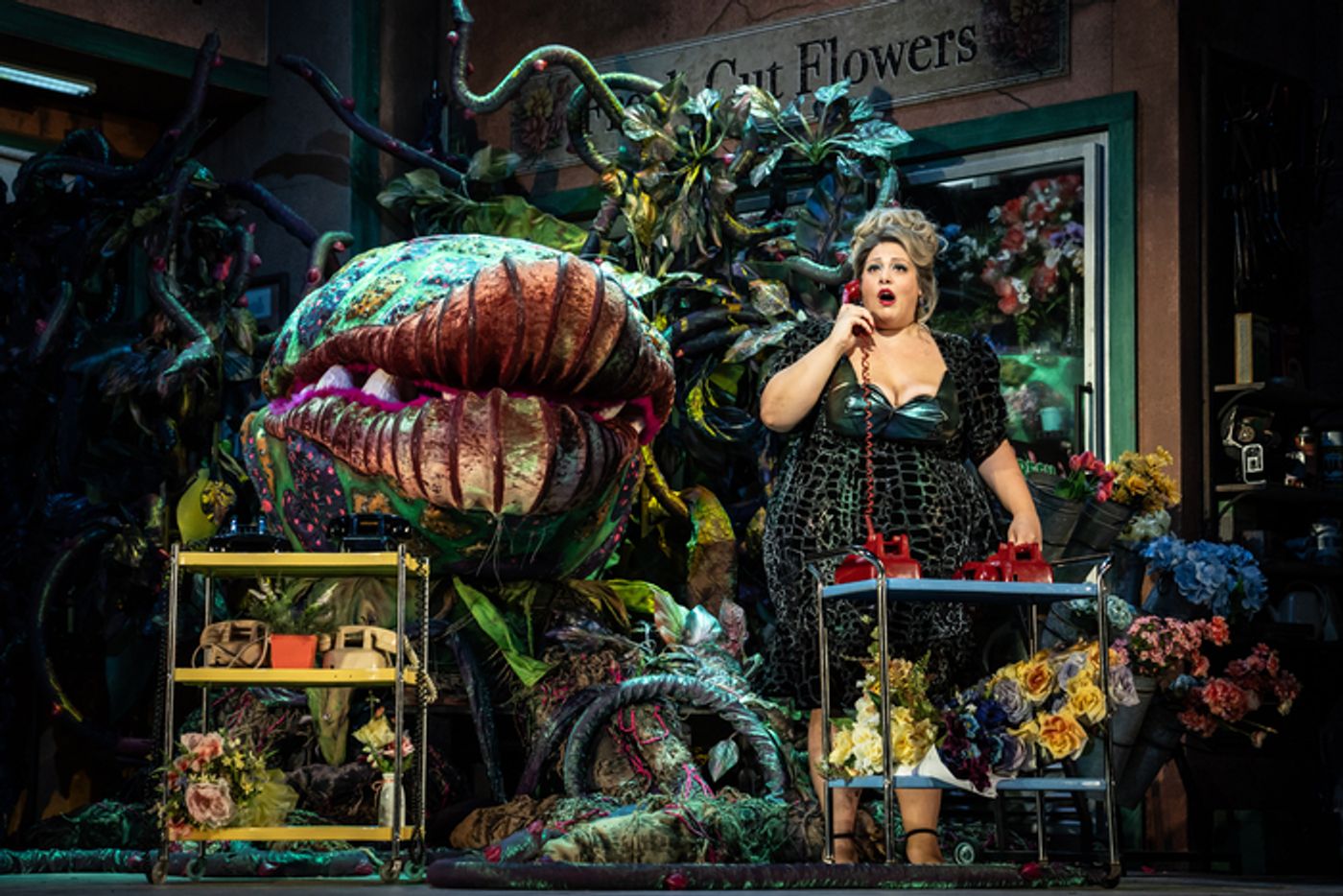 Photos: First Look at Paramount Theatre's LITTLE SHOP OF HORRORS  Image