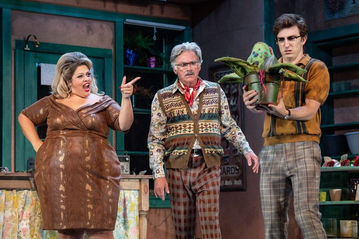 Photos: First Look at Paramount Theatre's LITTLE SHOP OF HORRORS — photo 7 of 19