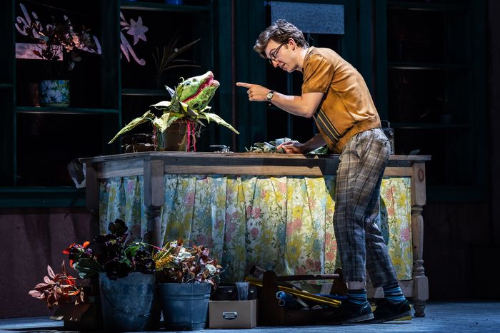 Photos: First Look at Paramount Theatre's LITTLE SHOP OF HORRORS — photo 6 of 19