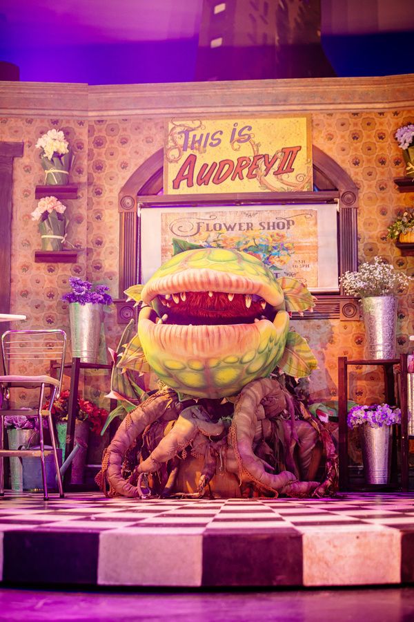 Photos: First Look at LITTLE SHOP OF HORRORS at The Encore  Image
