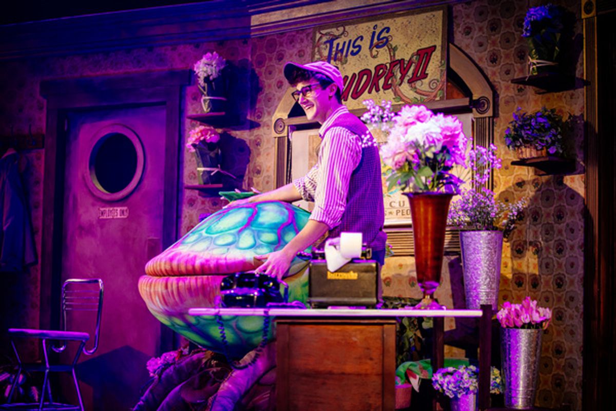 Tyler J. Messinger at Photos: First Look at LITTLE SHOP OF HORRORS at The Encore