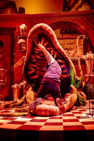 Tyler J. Messinger and Audrey II (Puppeteer: Vaughn Louks, Voice: William Scott Davis Photo