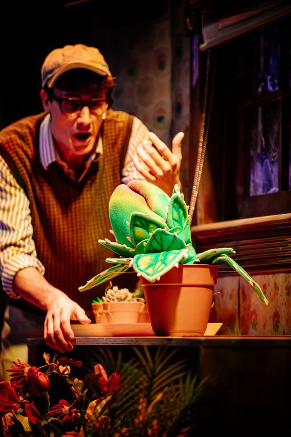 Photos: First Look at LITTLE SHOP OF HORRORS at The Encore  Image