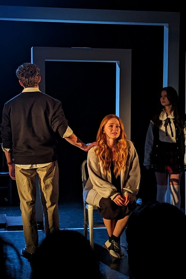 Photos: Inside the World Premiere Of REGARDING THE DISAPPEARANCE OF AMY at The Peter J. Sharp Theater  Image