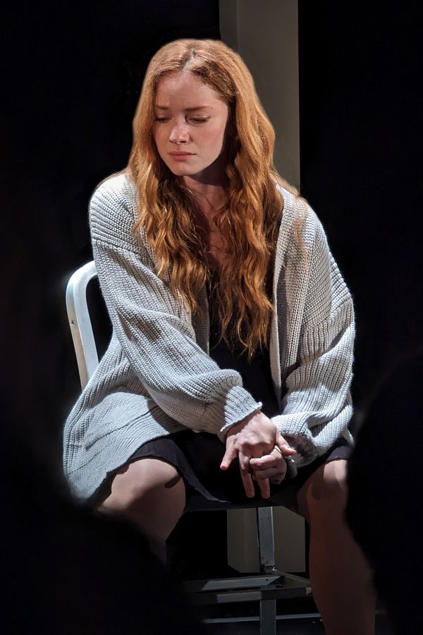 Photos: Inside the World Premiere Of REGARDING THE DISAPPEARANCE OF AMY at The Peter J. Sharp Theater  Image