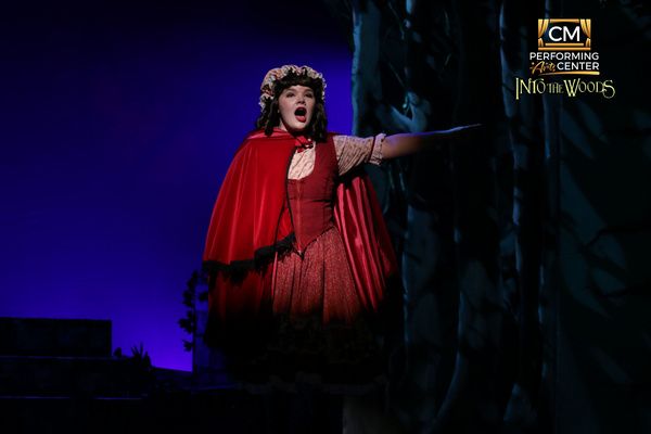 Photos: First Look at CM Performing Arts Presents: INTO THE WOODS  Image