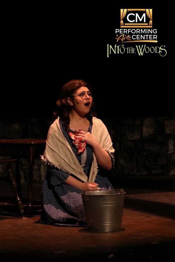 Photos: First Look at CM Performing Arts Presents: INTO THE WOODS  Image