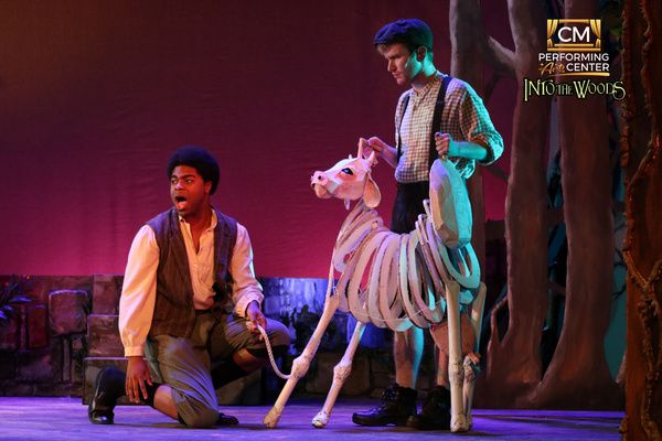 Photos: First Look at CM Performing Arts Presents: INTO THE WOODS  Image
