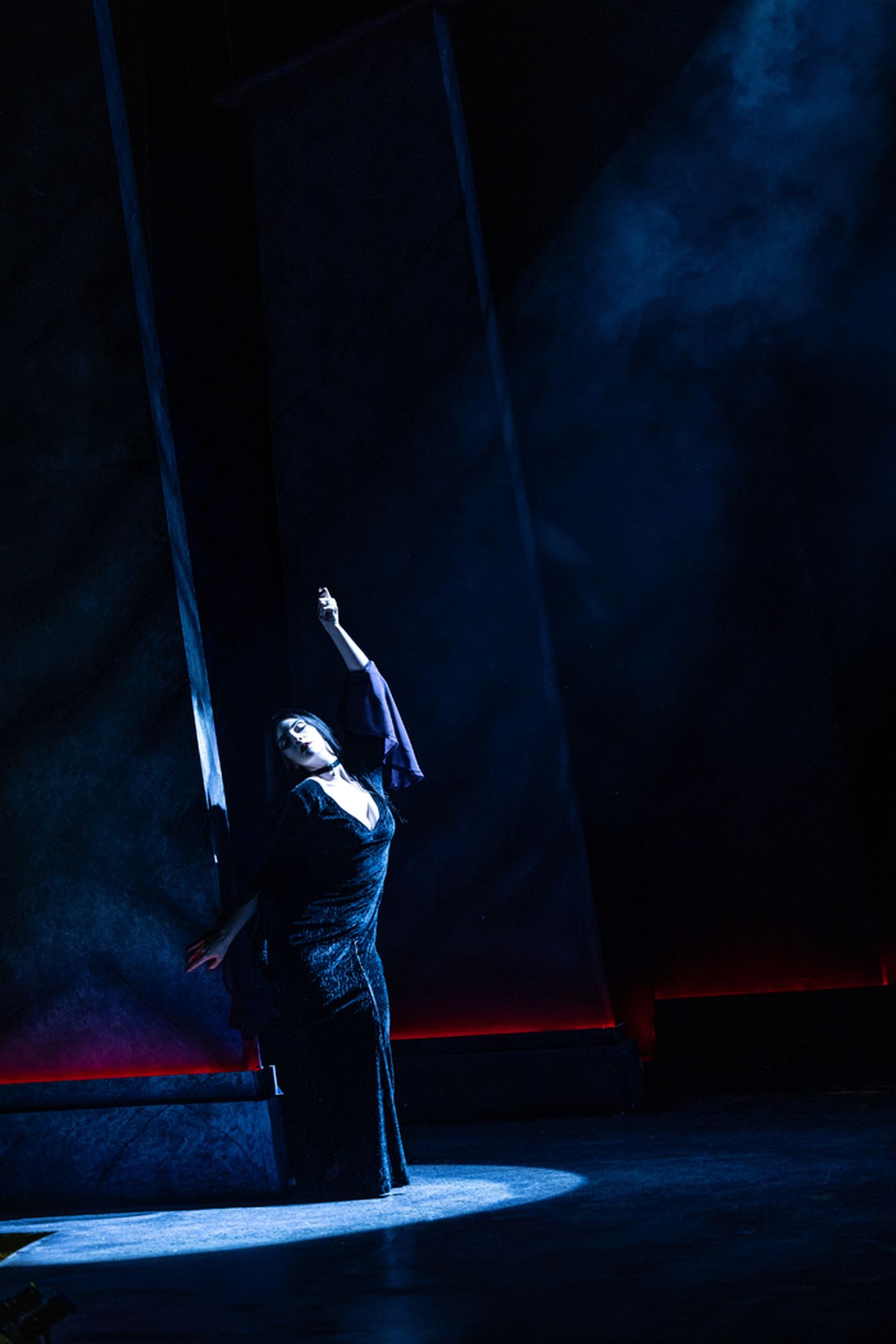 Photos: First Look at Metropolis Performing Arts Centre's THE ADDAMS FAMILY  Image