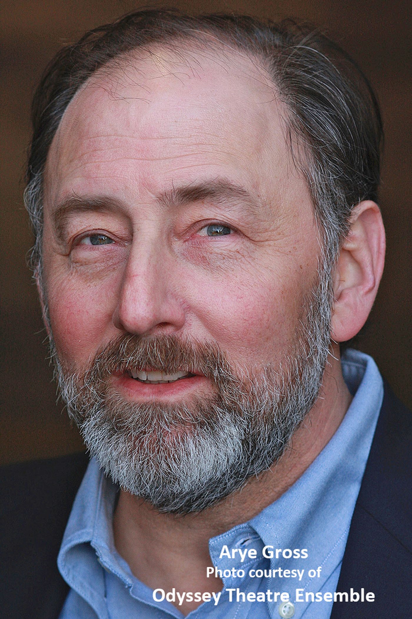 Interview: Arye Gross Watching BIRDS OF NORTH AMERICA & More  Image