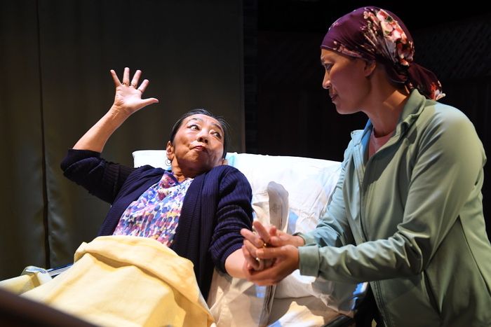 Photos: First Look At BALD SISTERS At San Jose Stage Company Photos: First Look At BALD SISTERS At San Jose Stage Company Image