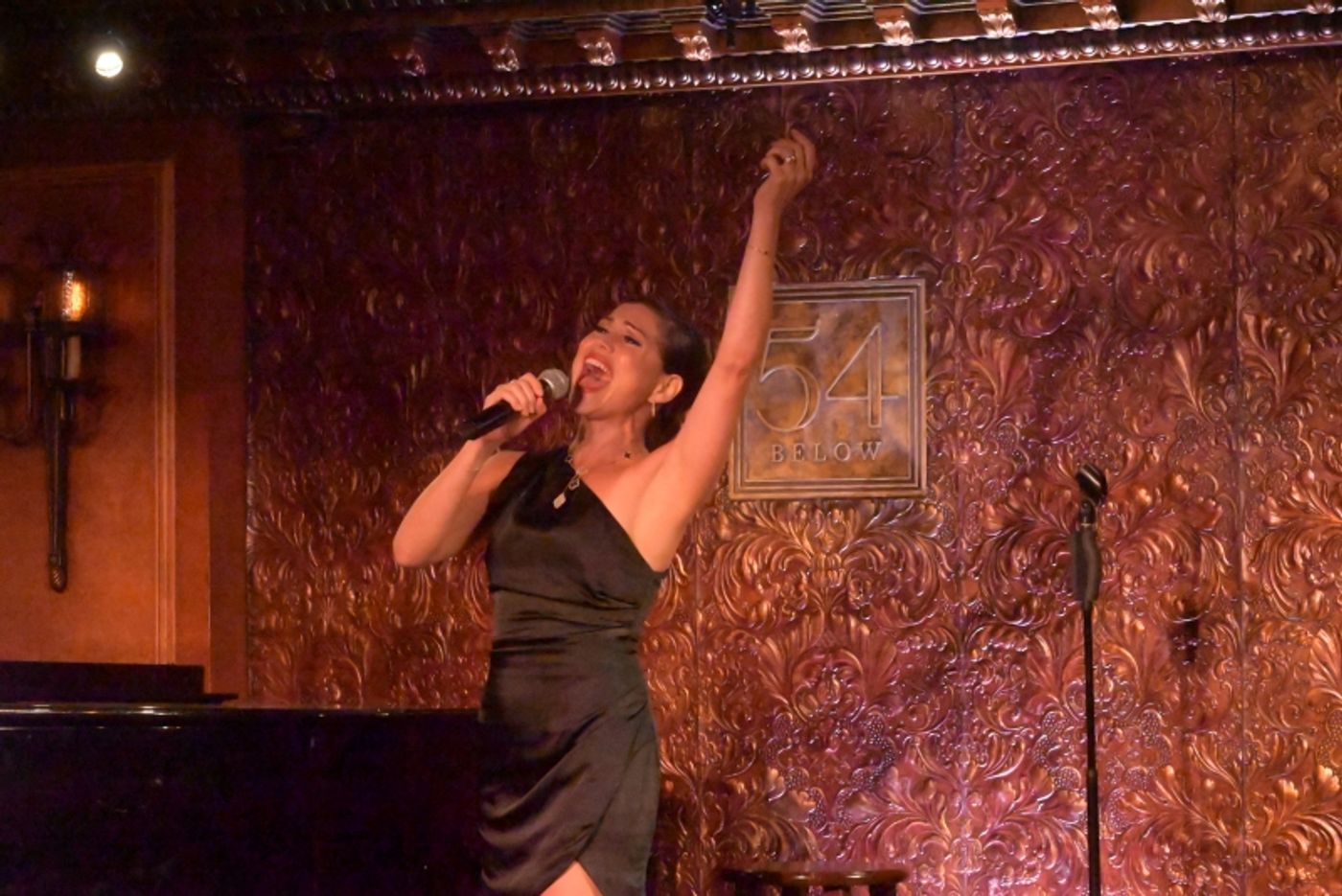 Photos: Robert Driemeyer Debuts BROADWAY BARFLY at 54 Below  Image