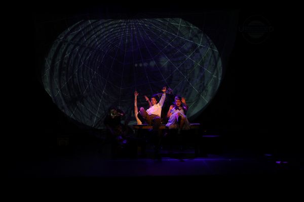 Photos: Last Two Chances To Catch The Central NY Pilot Premier Of ALICE BY HEART  Image