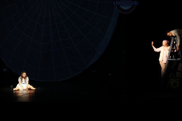 Photos: Last Two Chances To Catch The Central NY Pilot Premier Of ALICE BY HEART  Image