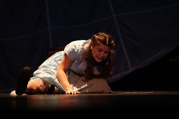 Photos: Last Two Chances To Catch The Central NY Pilot Premier Of ALICE BY HEART  Image