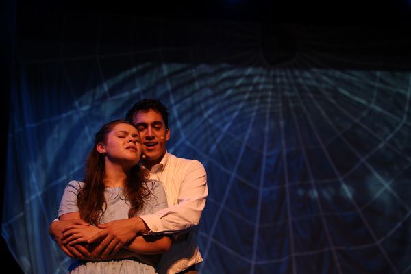 Photos: Last Two Chances To Catch The Central NY Pilot Premier Of ALICE BY HEART  Image