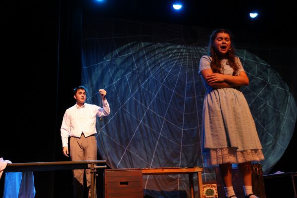 Photos: Last Two Chances To Catch The Central NY Pilot Premier Of ALICE BY HEART  Image