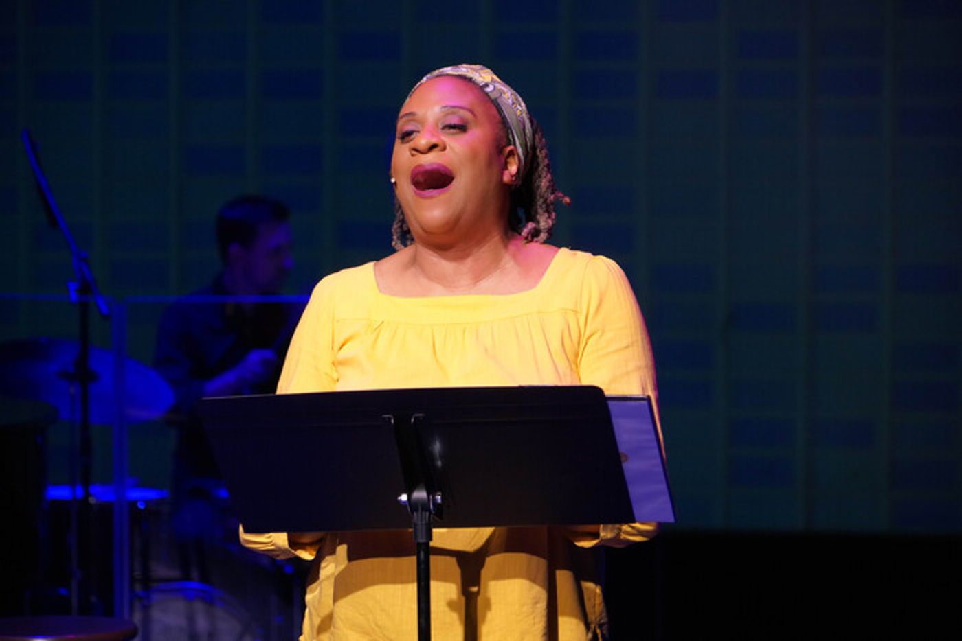 Photos: First Look At GOLDEN RAINBOW At The York Theatre Company  Image