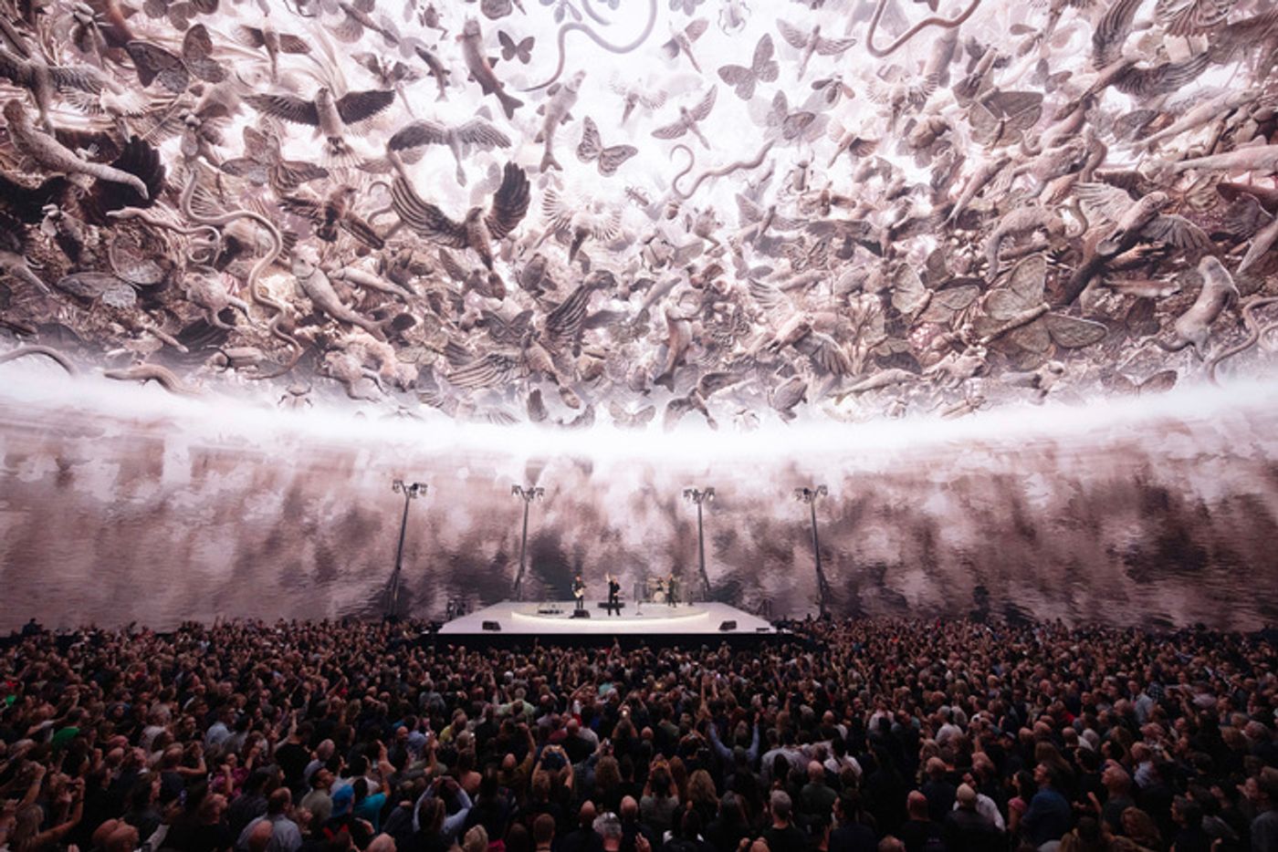 Photos: First Look at U2:UV ACHTUNG BABY LIVE at Sphere  Image