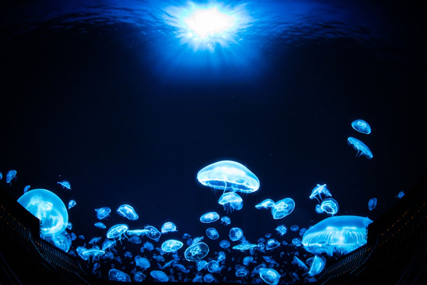 Photos: First Look at Darren Aronofsky's POSTCARDS FROM EARTH at Sphere  Image