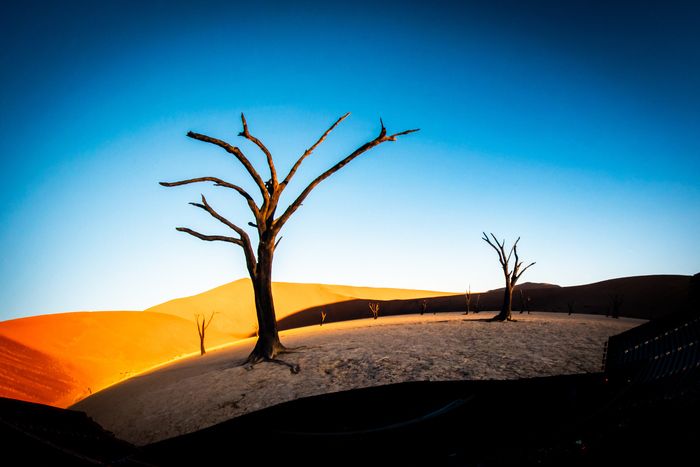 Photos: First Look at Darren Aronofsky's POSTCARDS FROM EARTH at Sphere — photo 6 of 10