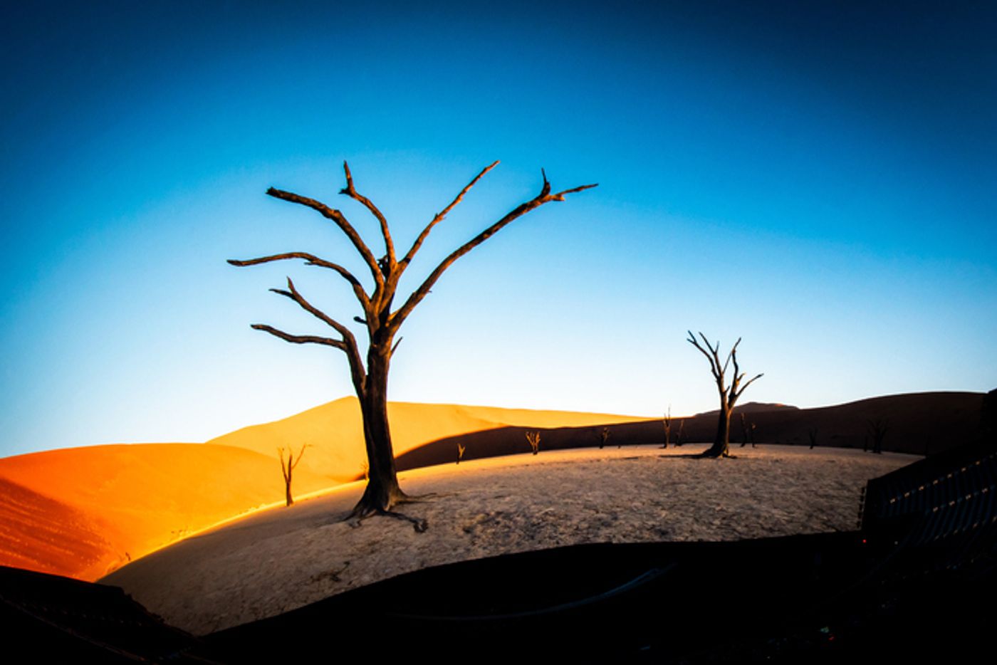 Photos: First Look at Darren Aronofsky's POSTCARDS FROM EARTH at Sphere  Image