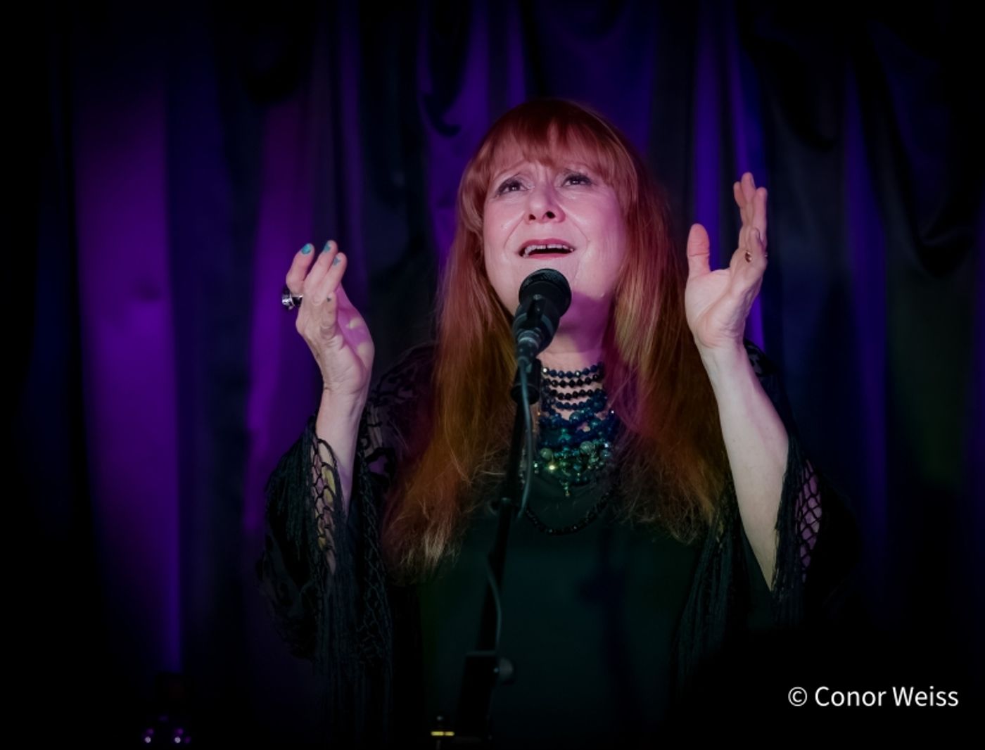 Photos: Carol Lipnik Offers Original Music In THROW DOWN A FEATHER FOR ME at Pangea  Image