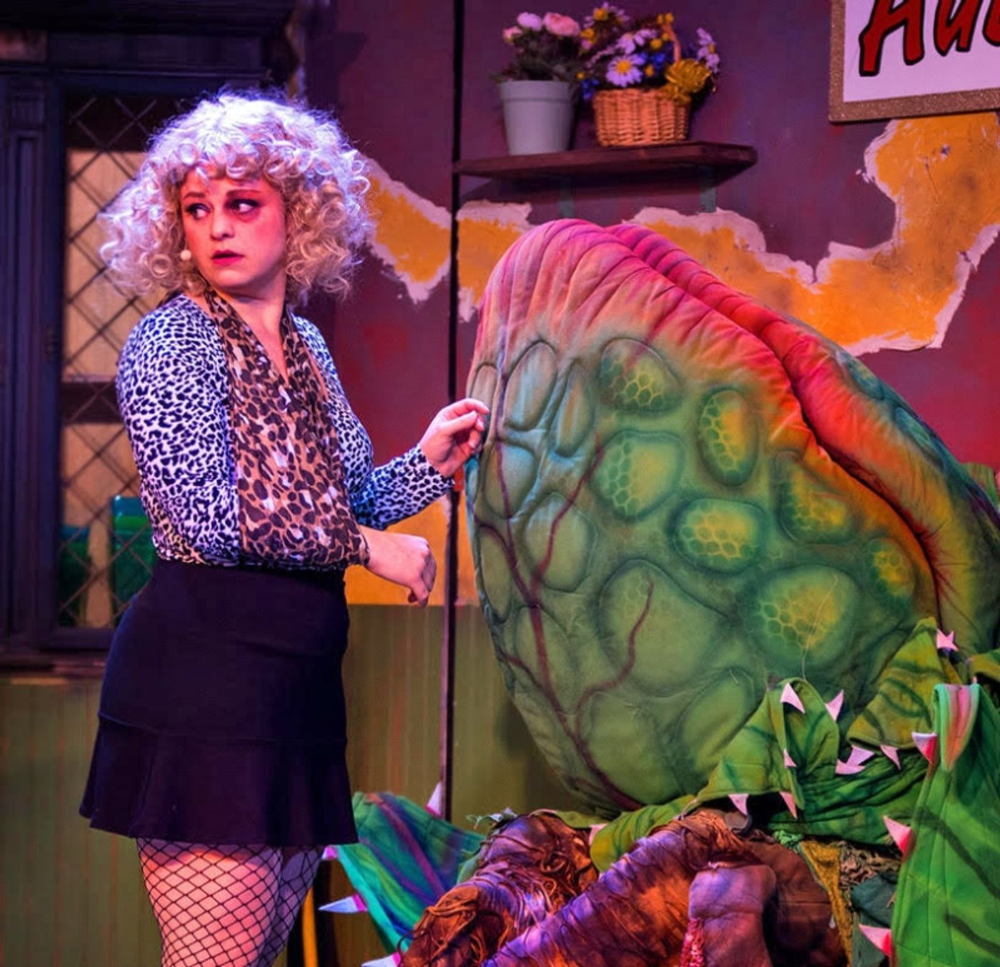 Review: LITTLE SHOP OF HORRORS at Theatre In The Park (Indoors)  Image