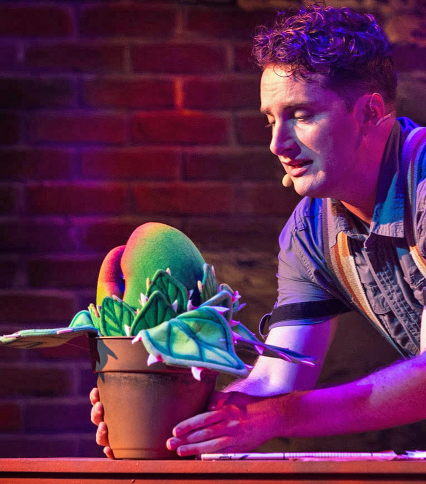 Review: LITTLE SHOP OF HORRORS at Theatre In The Park (Indoors)  Image