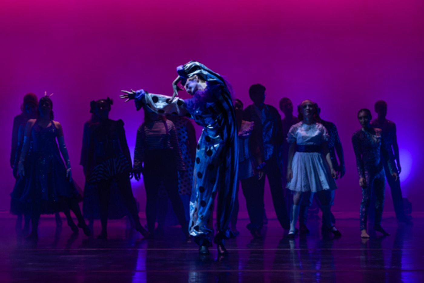 Photos: First look at New Vision Dance's CARNIVAL OF WONDERS - DANCING UNDER THE BIG TOP  Image