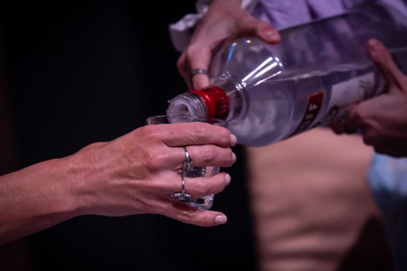 Photos: First look at The Tipping Point Theatre Columbus's ANTON IN SHOW BUSINESS  Image