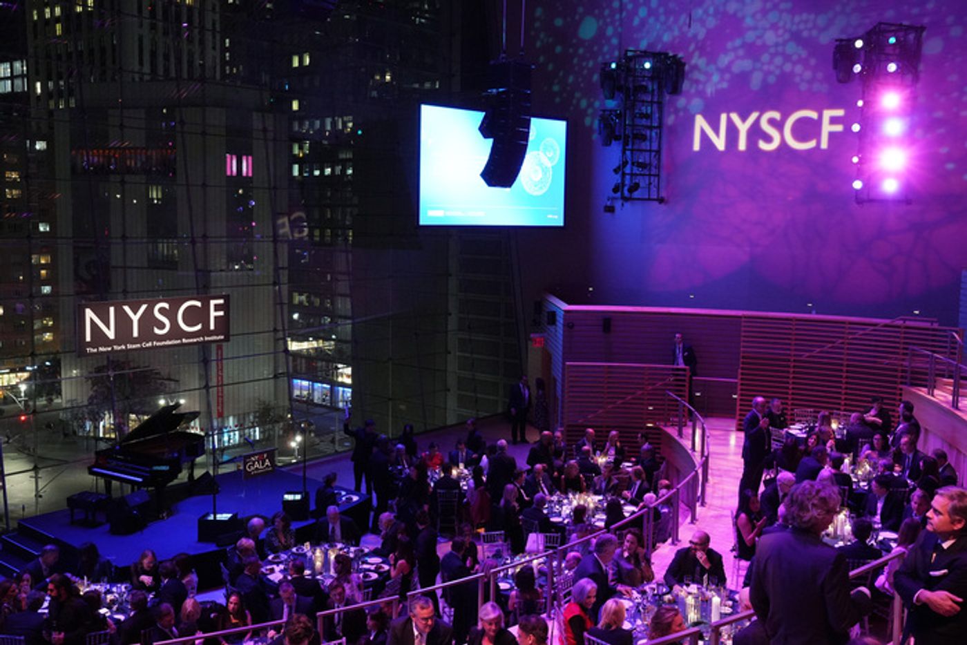 Photos: Caissie Levy, Annaleigh Ashford & More Come Out to Support the New York Stem Cell Foundation  Image