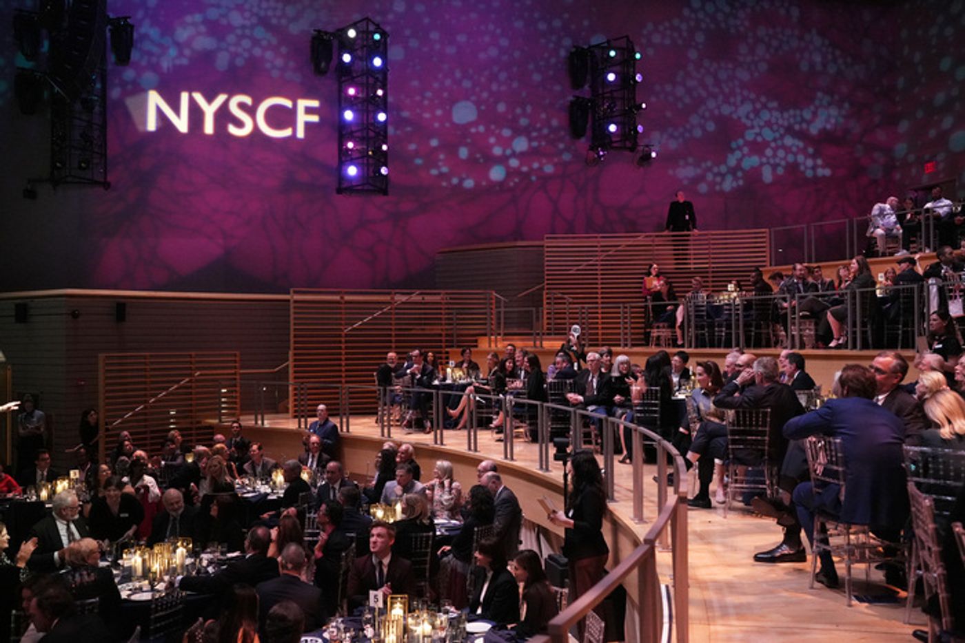 Photos: Caissie Levy, Annaleigh Ashford & More Come Out to Support the New York Stem Cell Foundation  Image