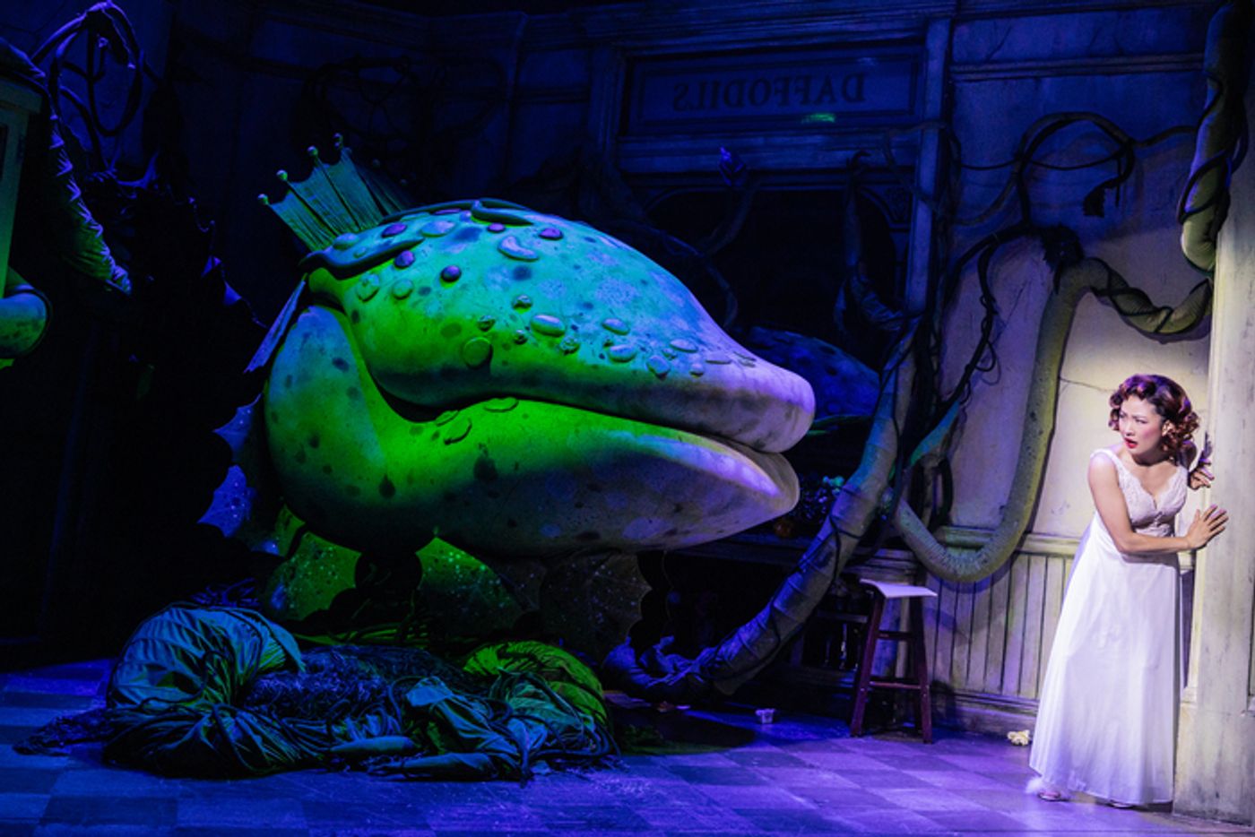 Photos: Corbin Bleu & Constance Wu in LITTLE SHOP OF HORRORS  Image