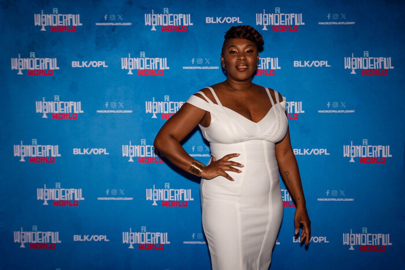 Photos: Go Inside Opening Night of A WONDERFUL WORLD in New Orleans  Image