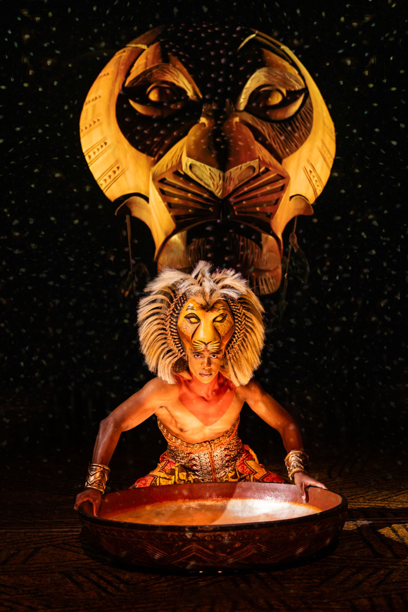 Photos: Get a First Look at THE LION KING's New Simba, Vincent Jamal Hooper  Image