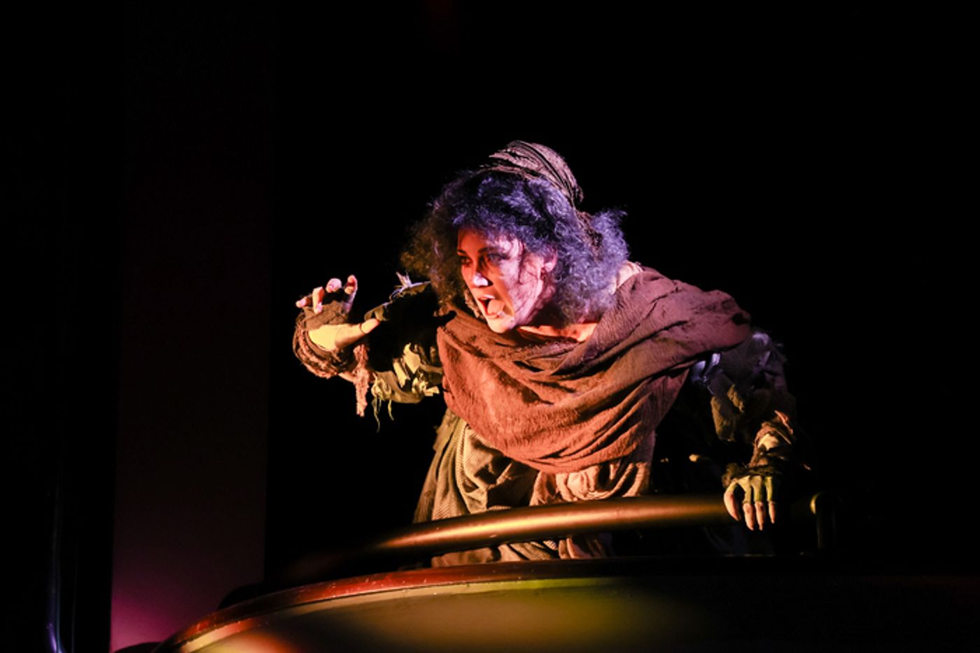 Photos & Video: See Danny Rothman, Sally Wilfert & More in SWEENEY TODD at TUTS  Image