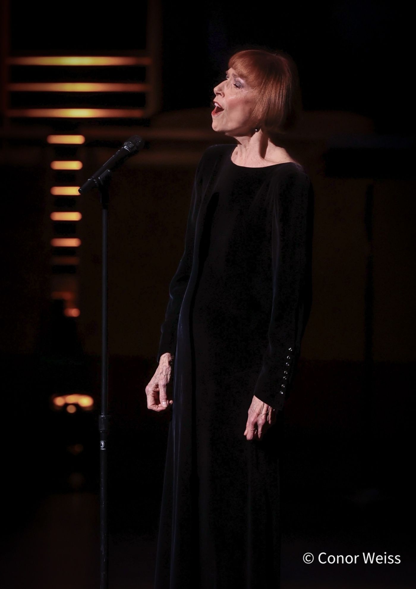 Photos: SPEAK LOW: THE MUSIC OF KURT WEILL at Rose Theater Opens Cabaret Convention  Image