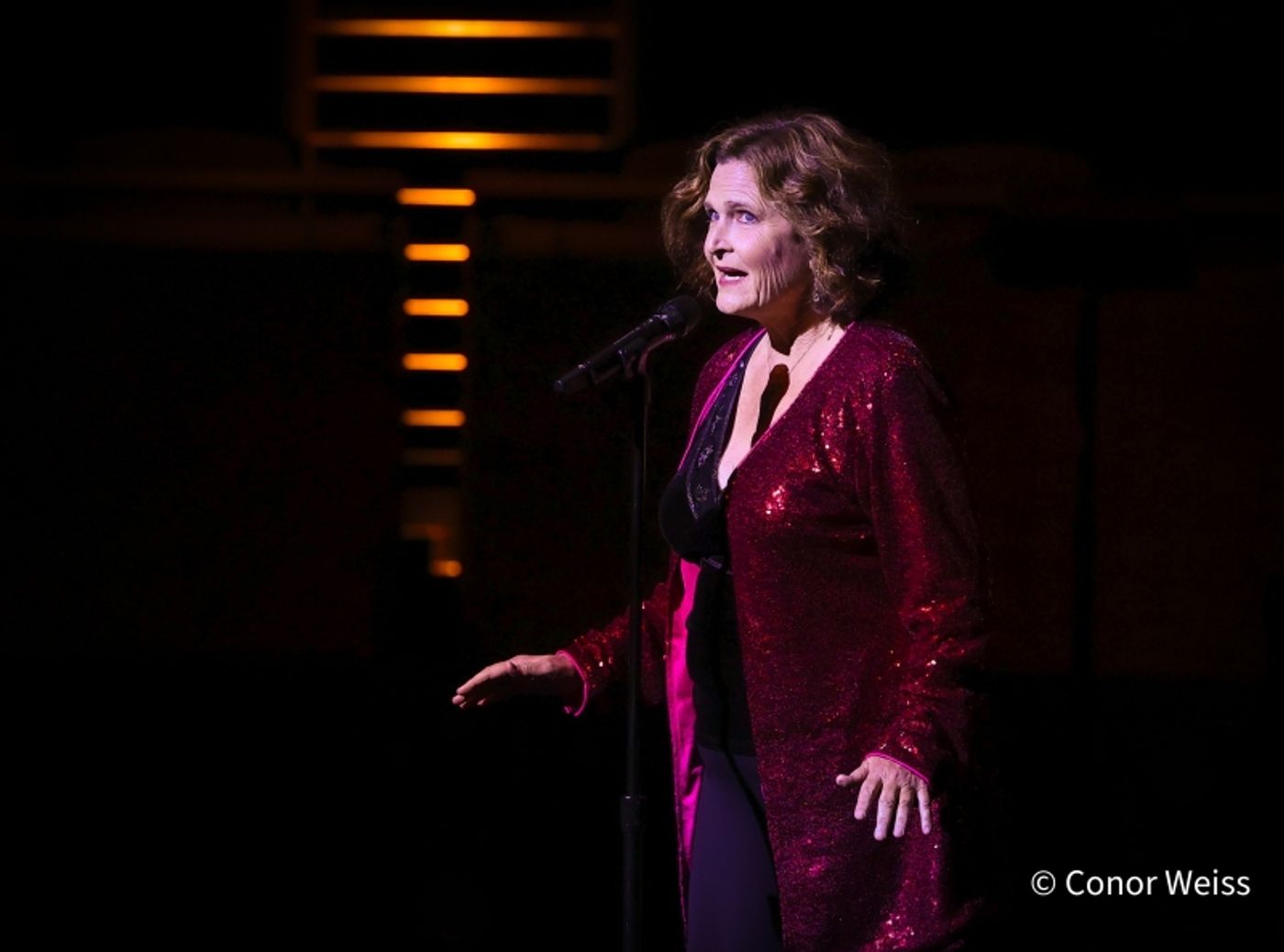 Photos: SPEAK LOW: THE MUSIC OF KURT WEILL at Rose Theater Opens Cabaret Convention  Image