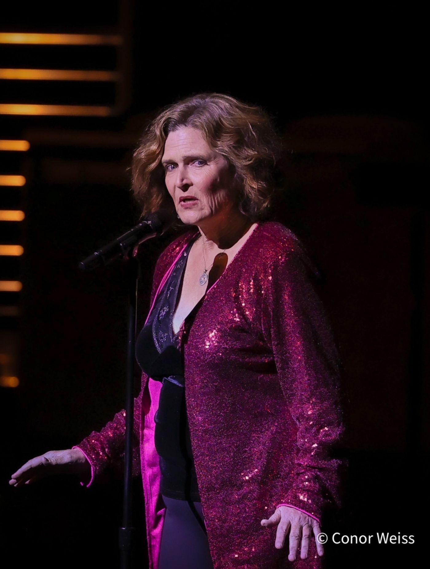 Photos: SPEAK LOW: THE MUSIC OF KURT WEILL at Rose Theater Opens Cabaret Convention  Image