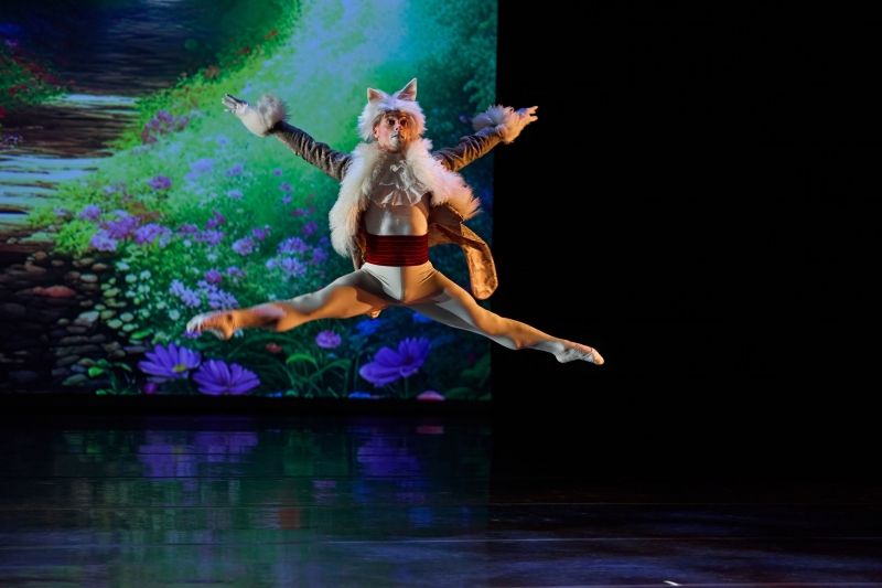 Review: WONDERLAND: ALICE'S EPIC ADVENTURE at UA-Pulaski Tech: The Center For Humanities And Arts  Image